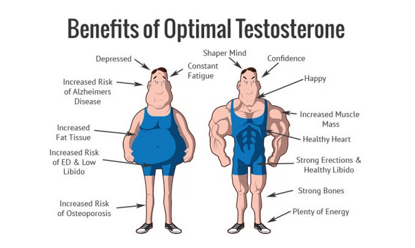 Benefits Of Optimal Testosterone Project NEXT