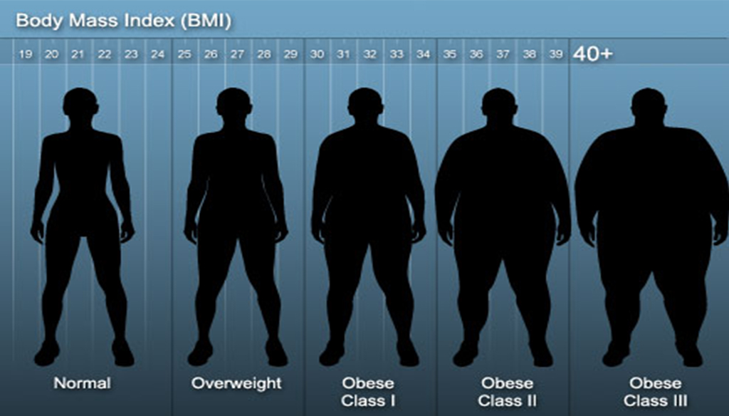 All About Body Mass Index | Project NEXT