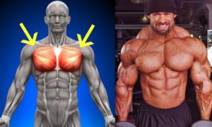 Tips To Build a Massive Chest : Five Must-Do Chest Exercises