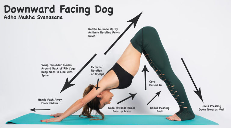 Downward-Dog-stretch – Project NEXT